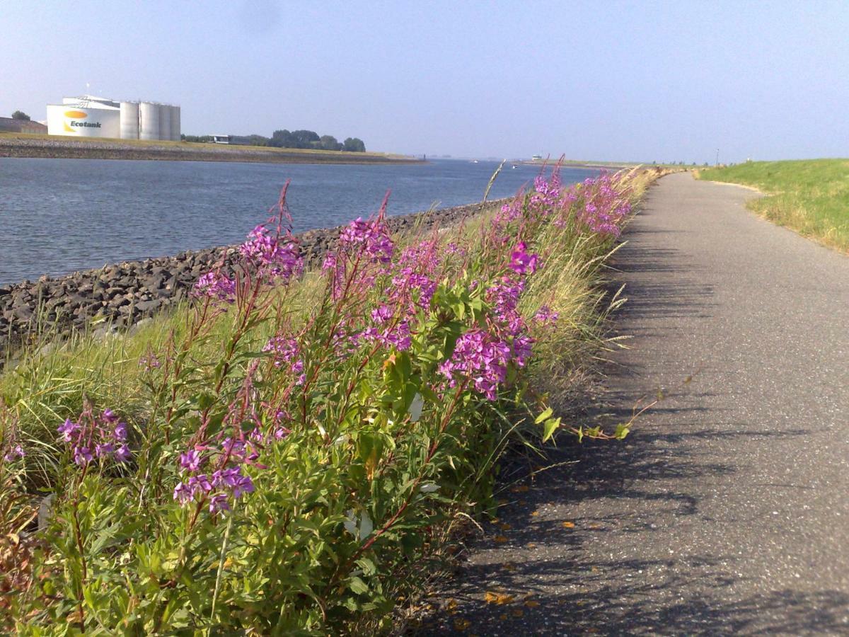 Middensluis Vakantiehuis Wemeldinge Bagian luar foto